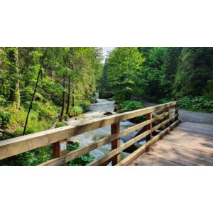 Diamantový obrázek - Dřevěný most v lese 30x40cm