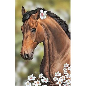 Norimpex Diamantové malování Kůň s květinami 30x40cm