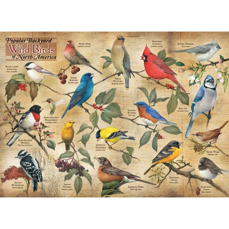 COBBLE HILL Puzzle Ptáci ze severoamerických zahrad 1000 dílků