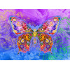 Norimpex Diamantové malování Motýl 30x40cm