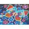 Norimpex Svítící diamantové malování Motýl 30x40cm