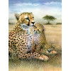 Malování podle čísel 22x30 cm- Leopard s mláďatem