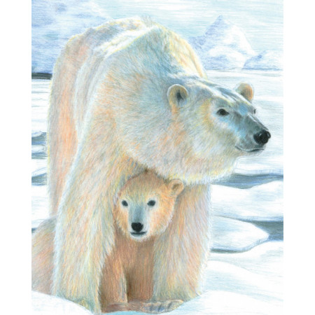Malování podle čísel PASTELKAMI - Lední medvěd