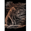 Škrabací obr. stříbrný Royal - medvěd Grizzly 25x20 cm
