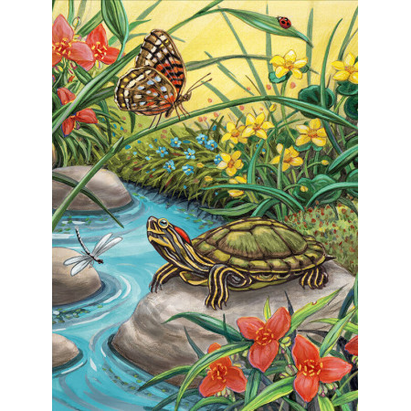 Malování podle čísel 22x30 cm - Želva s motýlkem