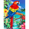 Malování podle čísel 22x30 cm - Papoušek