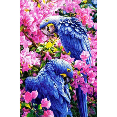 Norimpex Diamantové malování Modří papoušci 30x40cm