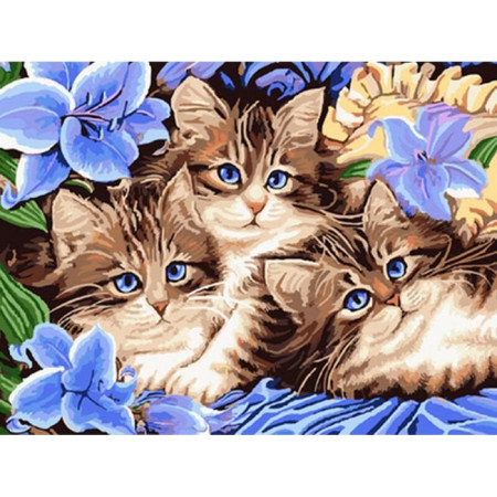 Norimpex Diamantové malování Tři koťata v květinách 30x40cm