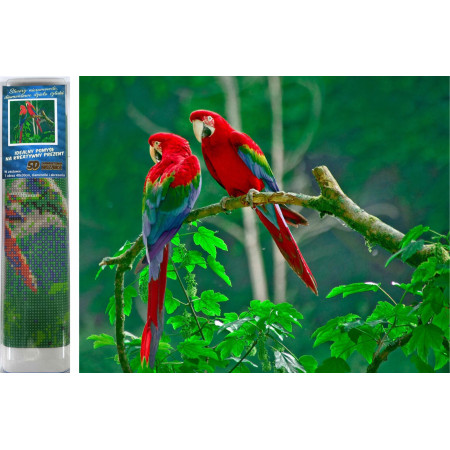 Norimpex Diamantové malování Papoušci na stromě 30x40cm