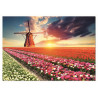 EDUCA Puzzle Země tulipánů 1500 dílků