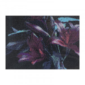 Diamantový obrázek - tmavé květiny 30 x 40 cm