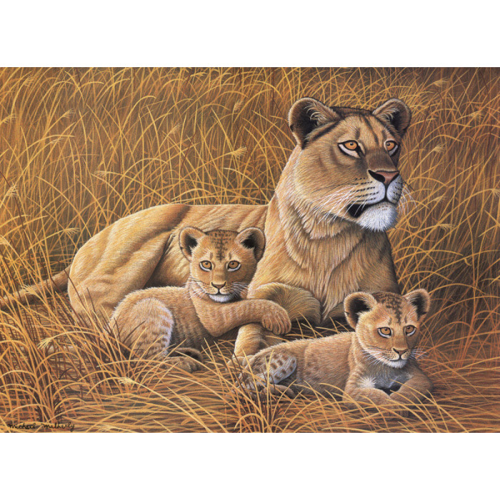Malování podle čísel 30x40 cm- Lvice a lvíčata