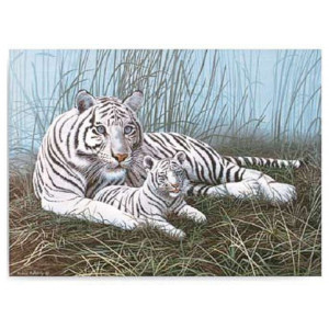 Malování podle čísel 30x40 cm- Bílý tygr s mládětem