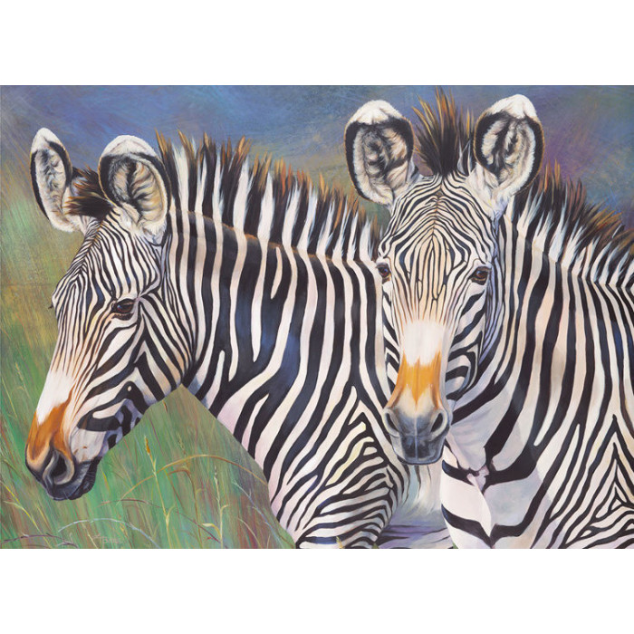 Malování podle čísel 30x40 cm - Zebry