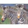 Malování podle čísel 30x40 cm - Zebry
