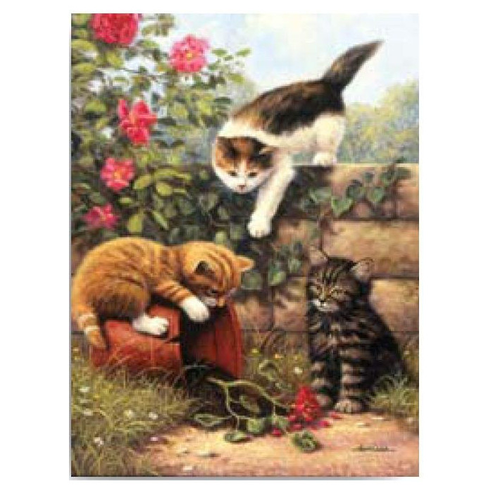 Malování podle čísel 22x30 cm- Koťata