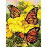 Malování podle čísel 22x30 cm - Motýlci na žlutých kytkách