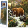 Norimpex Diamantové malování Medvěd na lovu 30x40cm