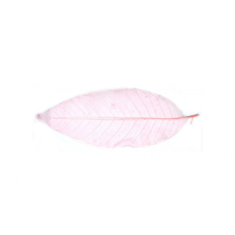 Listy magnolie, barevný - 10 ks, o velikosti 20 cm - růžový