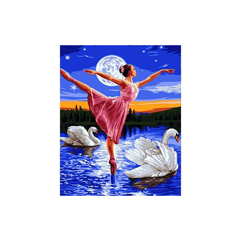 Diamantový obrázek - Baletka a labutě 30x40 cm