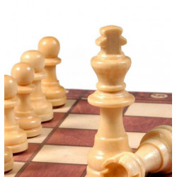 Šachy magnetické 3v1 39x39cm