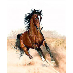 Malování podle čísel Cválající kůň M1182