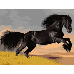 Malování podle čísel Černý kůň M1498