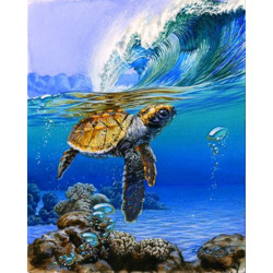 Malování podle čísel Mořská želva M991468