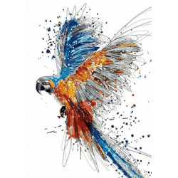 Malování podle čísel Papoušek M991861