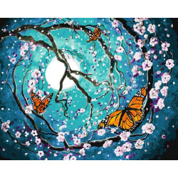 Malování podle čísel Noční motýli M992757