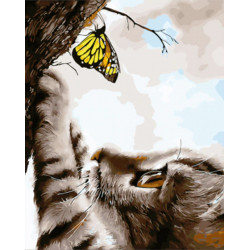 Malování podle čísel Kočička a motýlek M992684