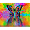 Malování podle čísel Motýl M992170