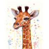 Malování podle čísel Žirafa M991325