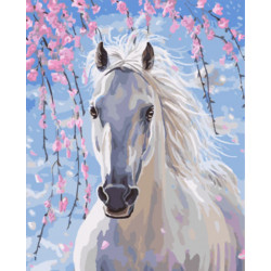 Malování podle čísel Bílý kůň M991642