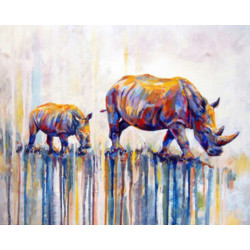 Malování podle čísel Nosorožci M991407