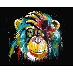 Malování podle čísel Šimpanz M99046