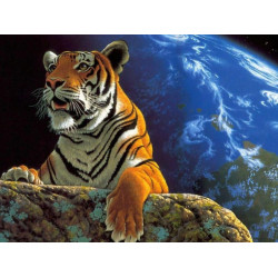 Malování podle čísel Tygr M1284