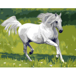 Malování podle čísel Bílý kůň M1285