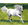 Malování podle čísel Bílý kůň M1285