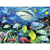 Malování podle čísel 30x40 cm - Žraloci u útesu