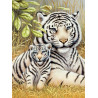 Malování podle čísel 22x30 cm - Bílí tygři
