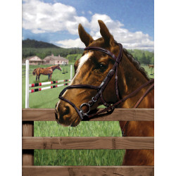 Malování podle čísel 22x30 cm - Kůň v ohradě