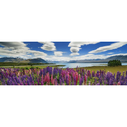 HEYE Panoramatické puzzle Jezero Tekapo, Nový Zéland 1000 dílků