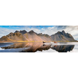 HEYE Panoramatické puzzle Koně Islandu 1000 dílků