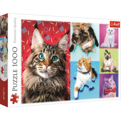 TREFL Puzzle Veselé kočky 1000 dílků