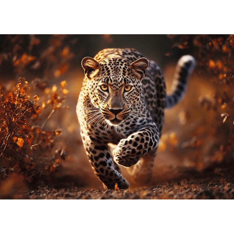 TREFL Puzzle Premium Plus Photo Odyssey: Divoký leopard 1000 dílků