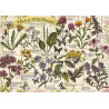 TREFL Puzzle Herbarium: Léčivé byliny 500 dílků