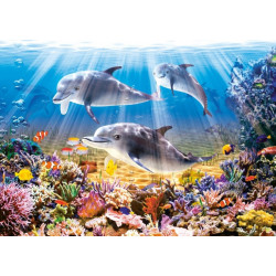 CASTORLAND Puzzle Delfíni 500 dílků