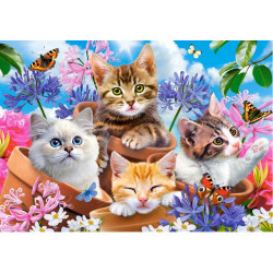 CASTORLAND Puzzle Koťátka s květinami 500 dílků