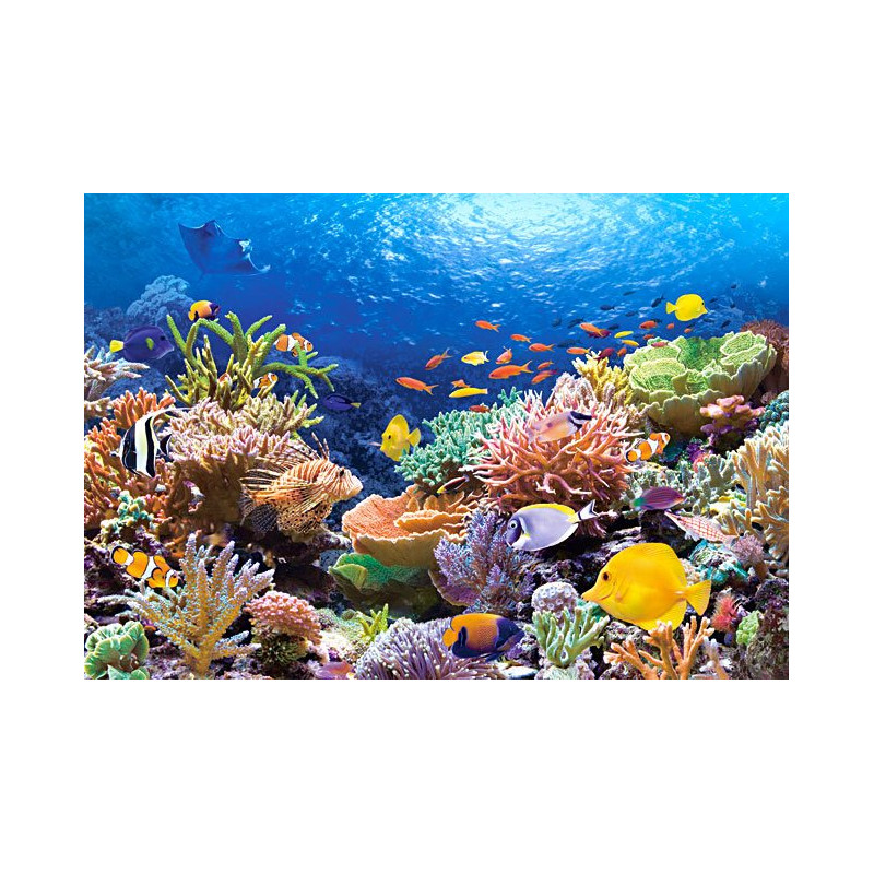 CASTORLAND Puzzle Korálový útes 1000 dílků